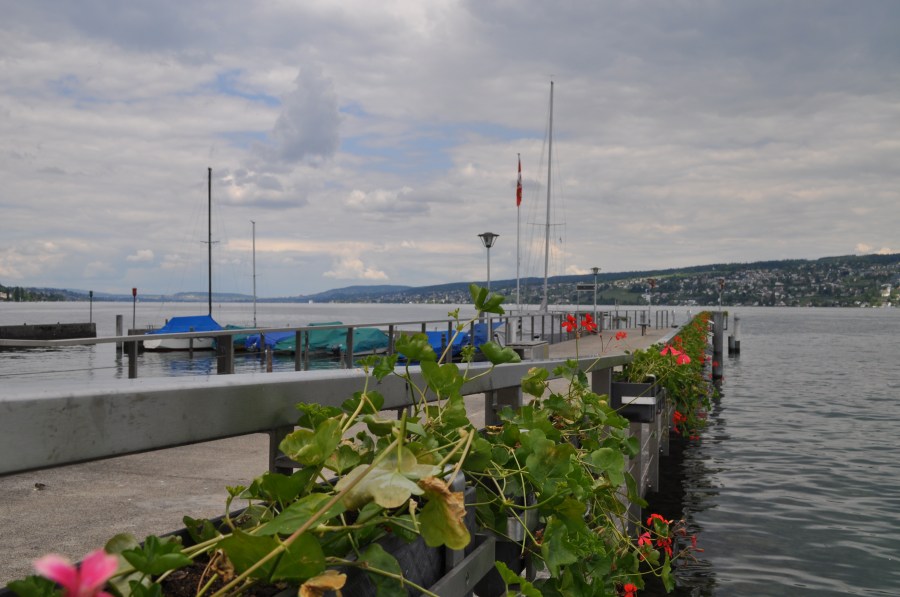 Horgen
