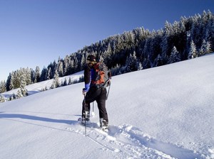 schneewandern