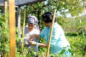 Neue_Gärten_in_der_Schweiz_dfc8846399