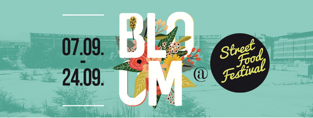 Captura de pantalla 2017-08-31 a las 17.16.56.png