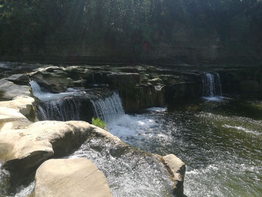 IMG_2017-09-08 18:50:25.jpg